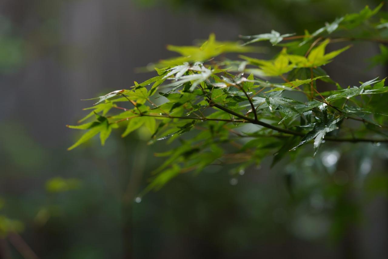 滔々 御崎 町家の宿 Toutou Onzaki Machiya No Yado Курасікі Екстер'єр фото